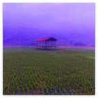 FIELD - 1.4