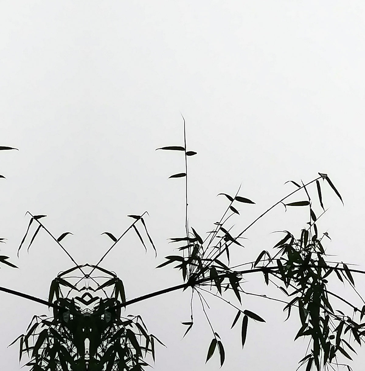 MEDITATION - 1.01 - detail