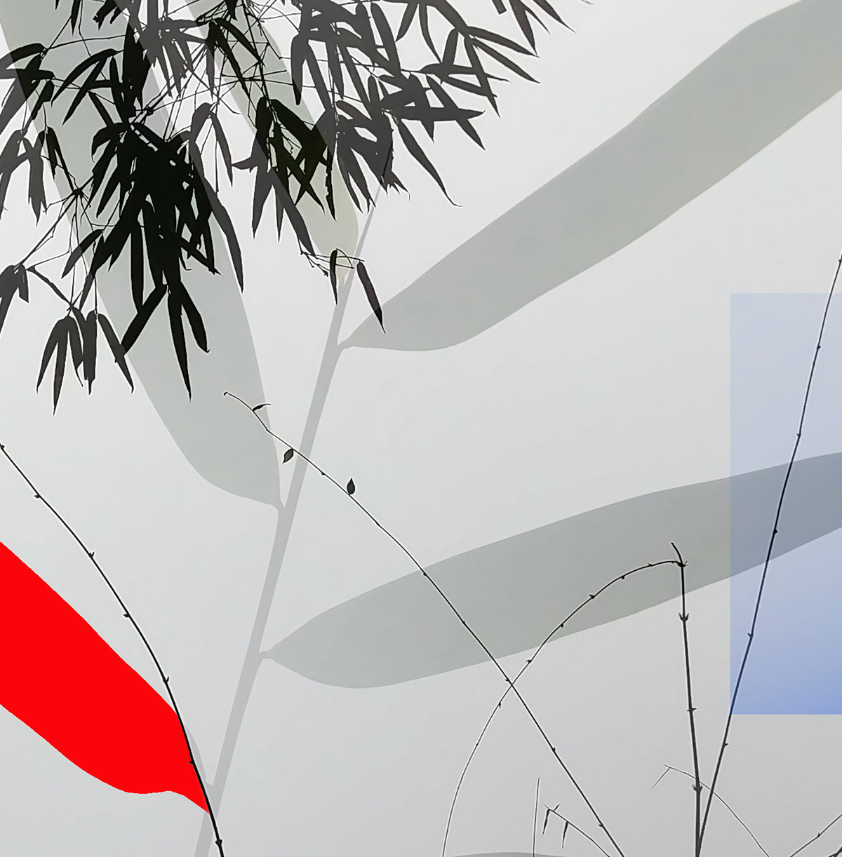 MEDITATION - 1.3 - detail