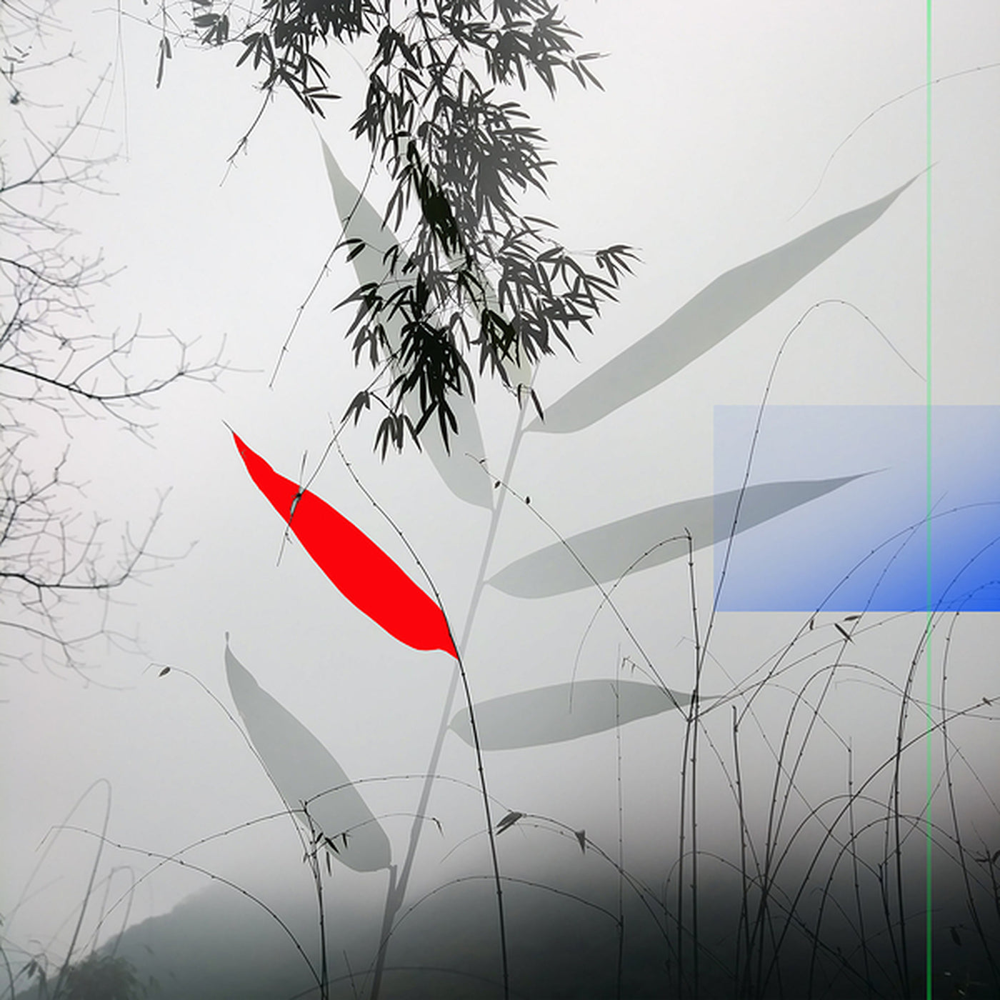 MEDITATION - 1.3 in frame preview
