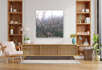 MEDITATION - 1.4 - shown in a modern living room