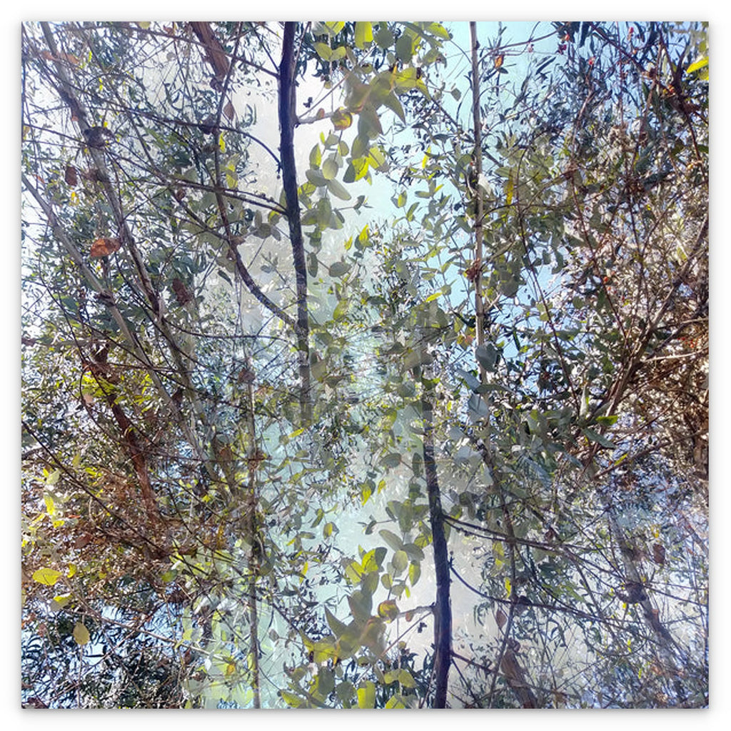 MEDITATION - 1.6