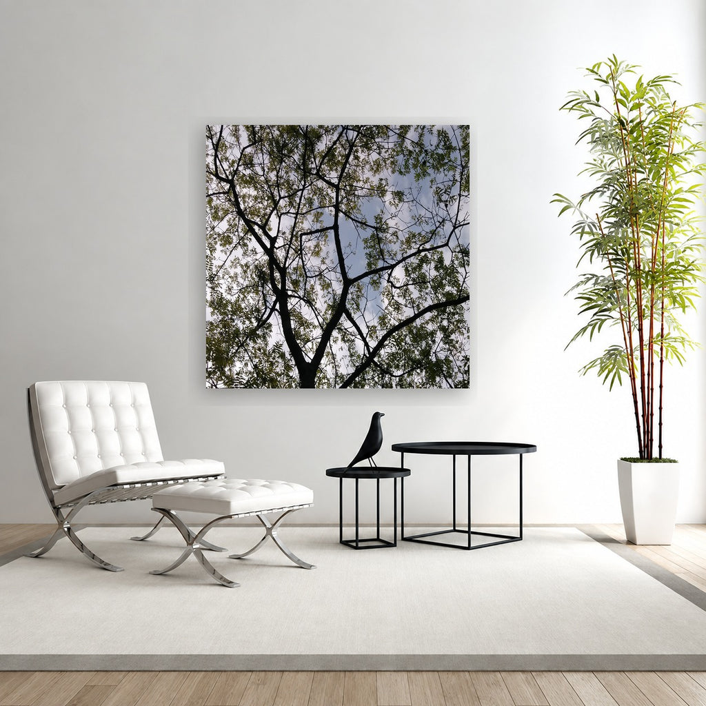 MEDITATION - 1.7 - acrylic print