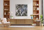 MEDITATION - 1.7 - shown in a modern living room