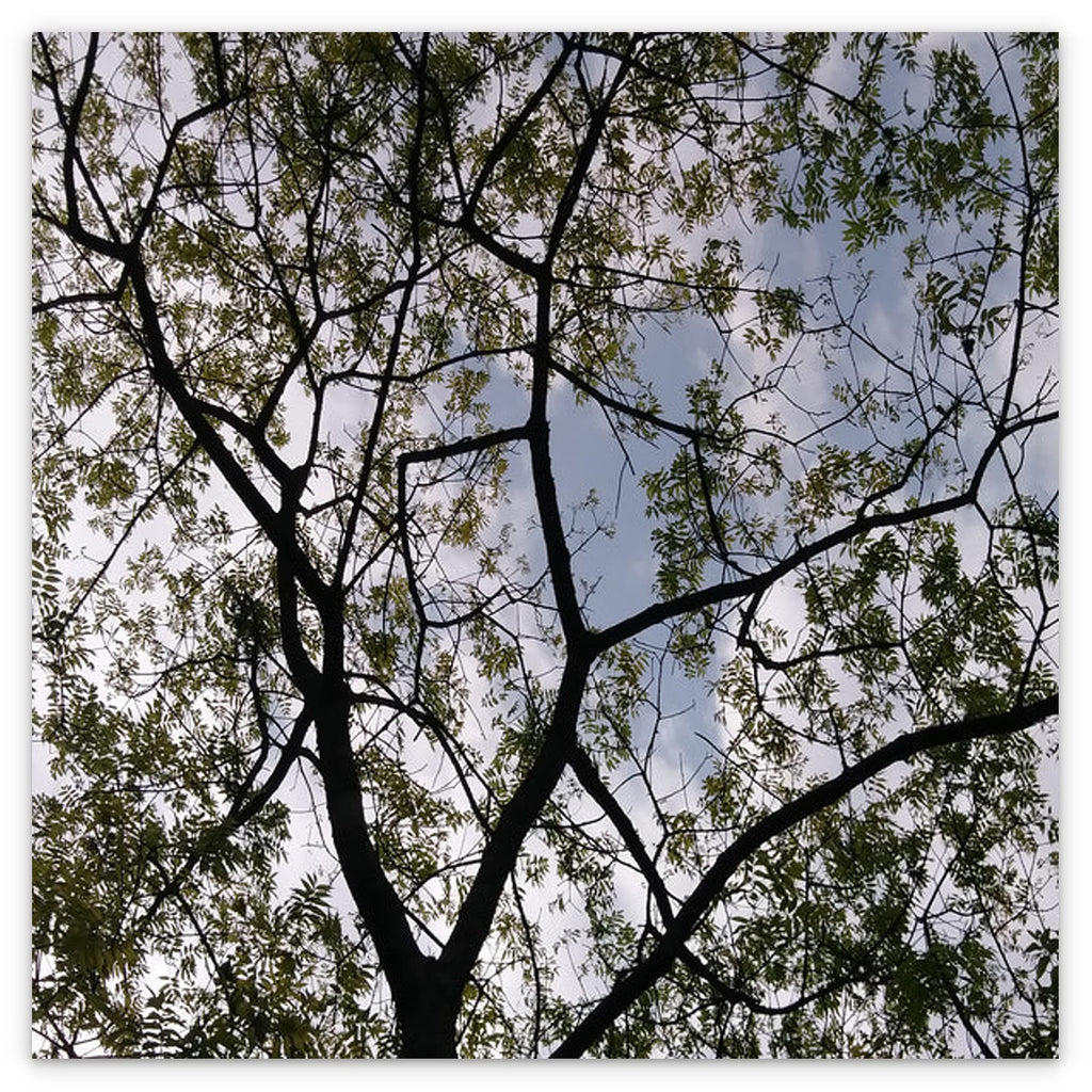 MEDITATION - 1.7