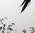 MEDITATION - 1.9 - detail