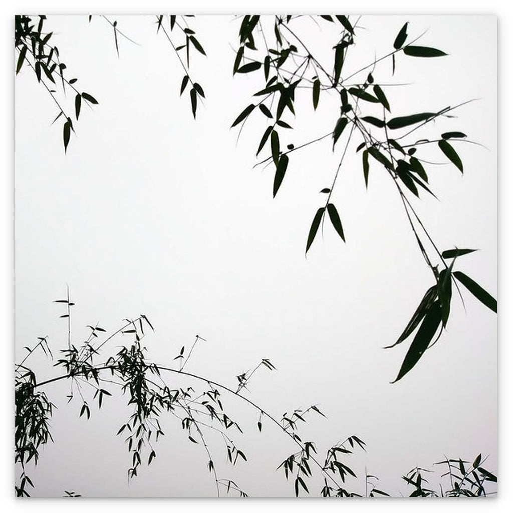 MEDITATION - 1.9