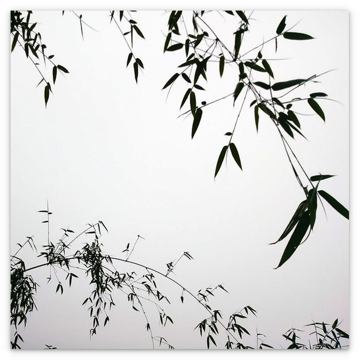 MEDITATION - 1.9