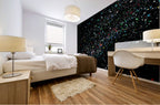 COSMOS - 3.2 — mural room view