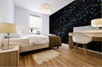 COSMOS - 3.3 — mural room view