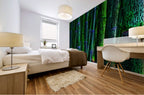 BAMBOO - 1.1 — mural room view