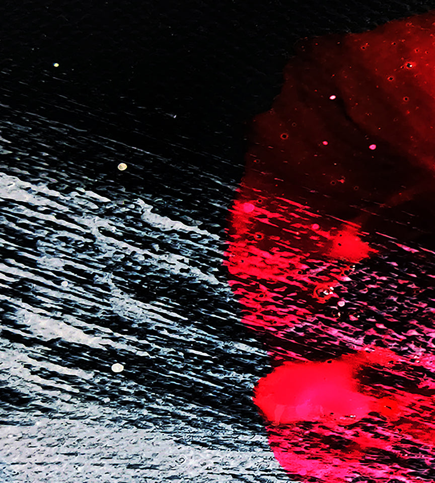 ORGANIC PULSE - A.5 - detail