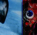 PORTRAIT - 7.3 - detail