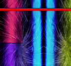 RECURSIVE DREAM ARCHITECTURE - 1.1 - detail