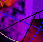 THE ENTROPY - C.3 - detail