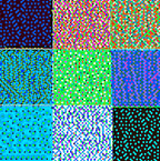 THE GAME - 2.2 - detail