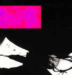 THE MULTIPLICATION OF BEING - 352 - detail
