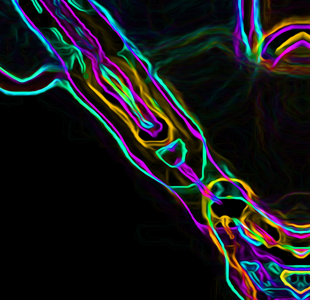 THE MULTIPLICATION OF BEING - 9.8 - detail