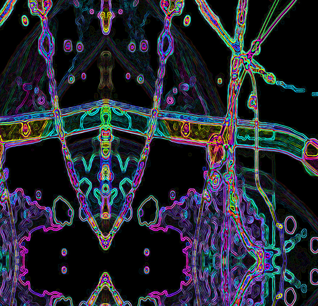 THE MULTIPLICATION OF BEING - 9.9 - detail