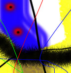 THE NEW OBSERVATION - 1 B - detail