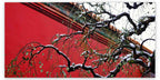 WINTER CHINA - 1.3