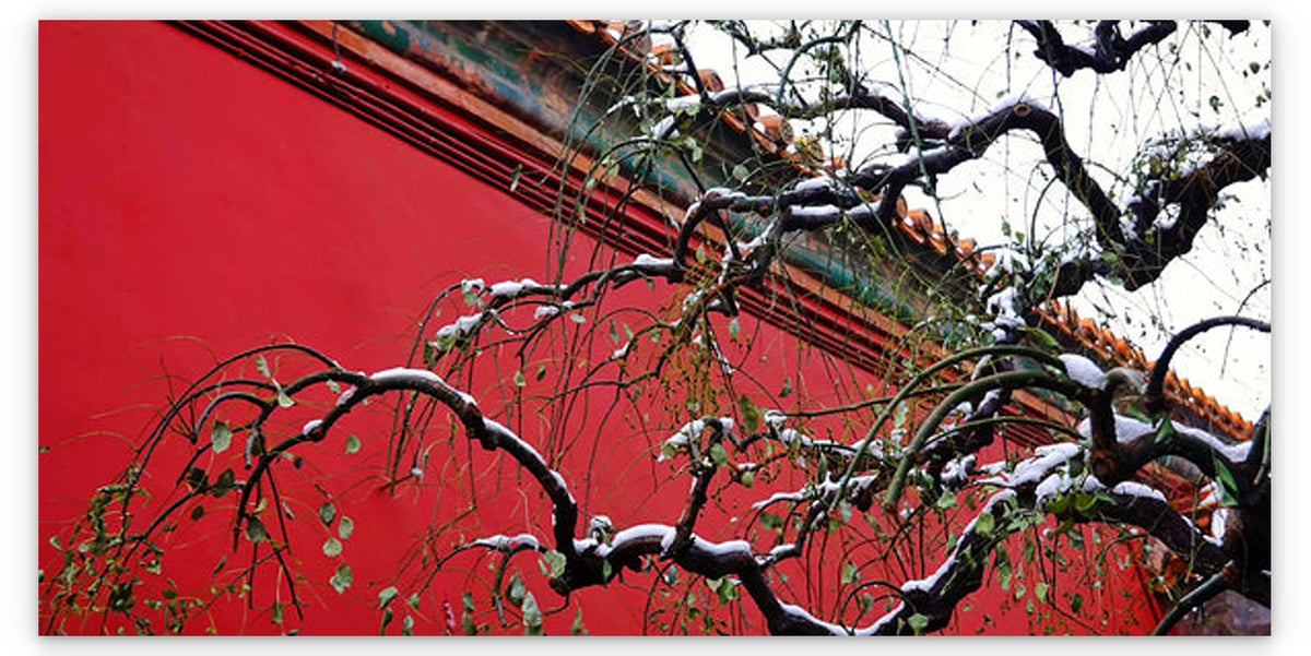 WINTER CHINA - 1.3